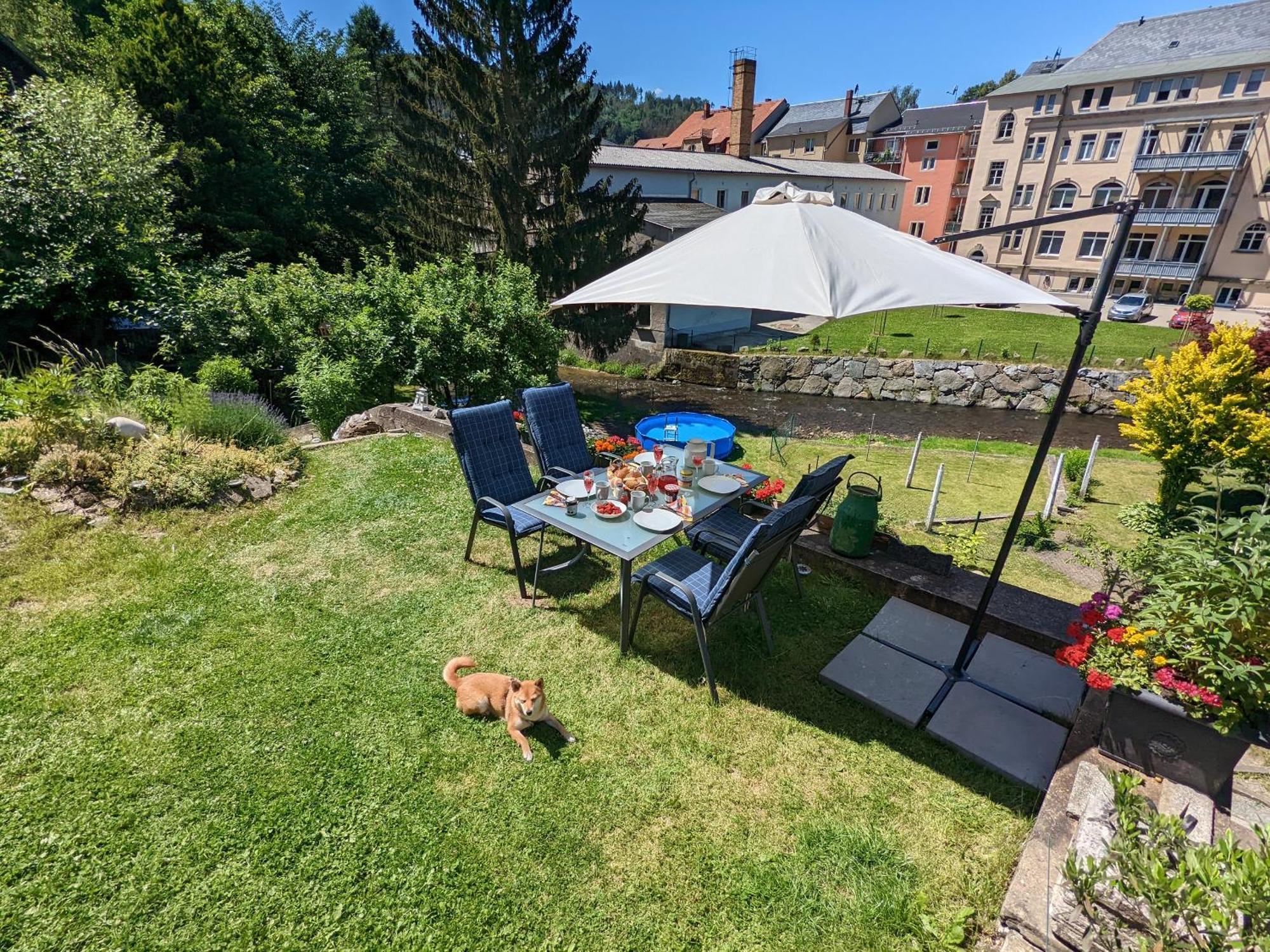 Zi1 - Urlaubsmagie - Erholung Mit Whirlpool & Sauna Sebnitz Exterior foto
