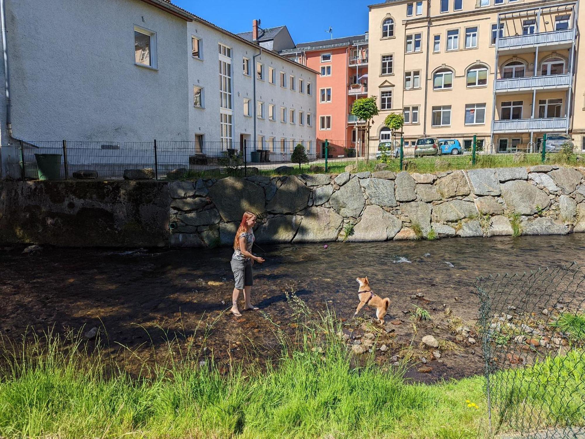 Zi1 - Urlaubsmagie - Erholung Mit Whirlpool & Sauna Sebnitz Exterior foto